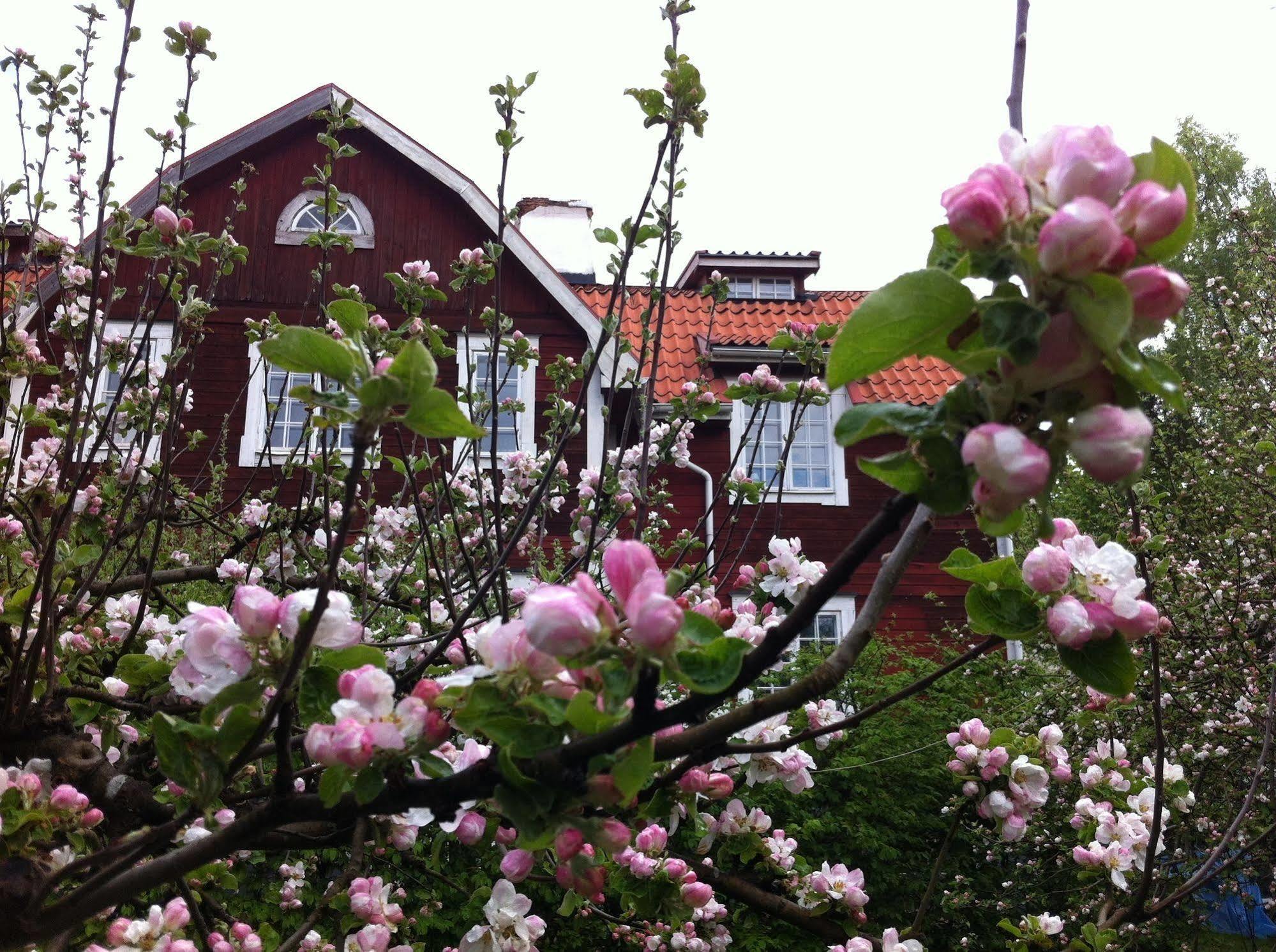 Stockholm B&B Cottage Nacka Zewnętrze zdjęcie